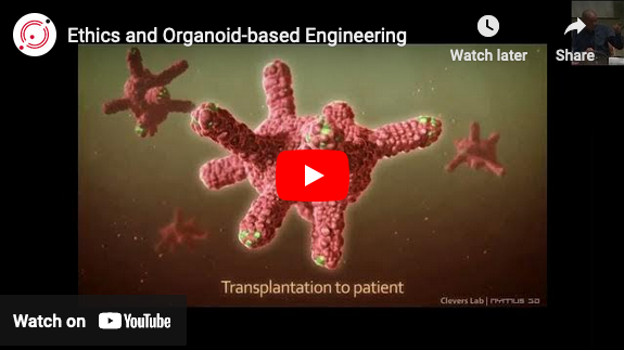 organoid-based_engineering.png